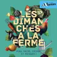 59d91a8ac3aec375fcd7e083866195bfb265f0db-25d33